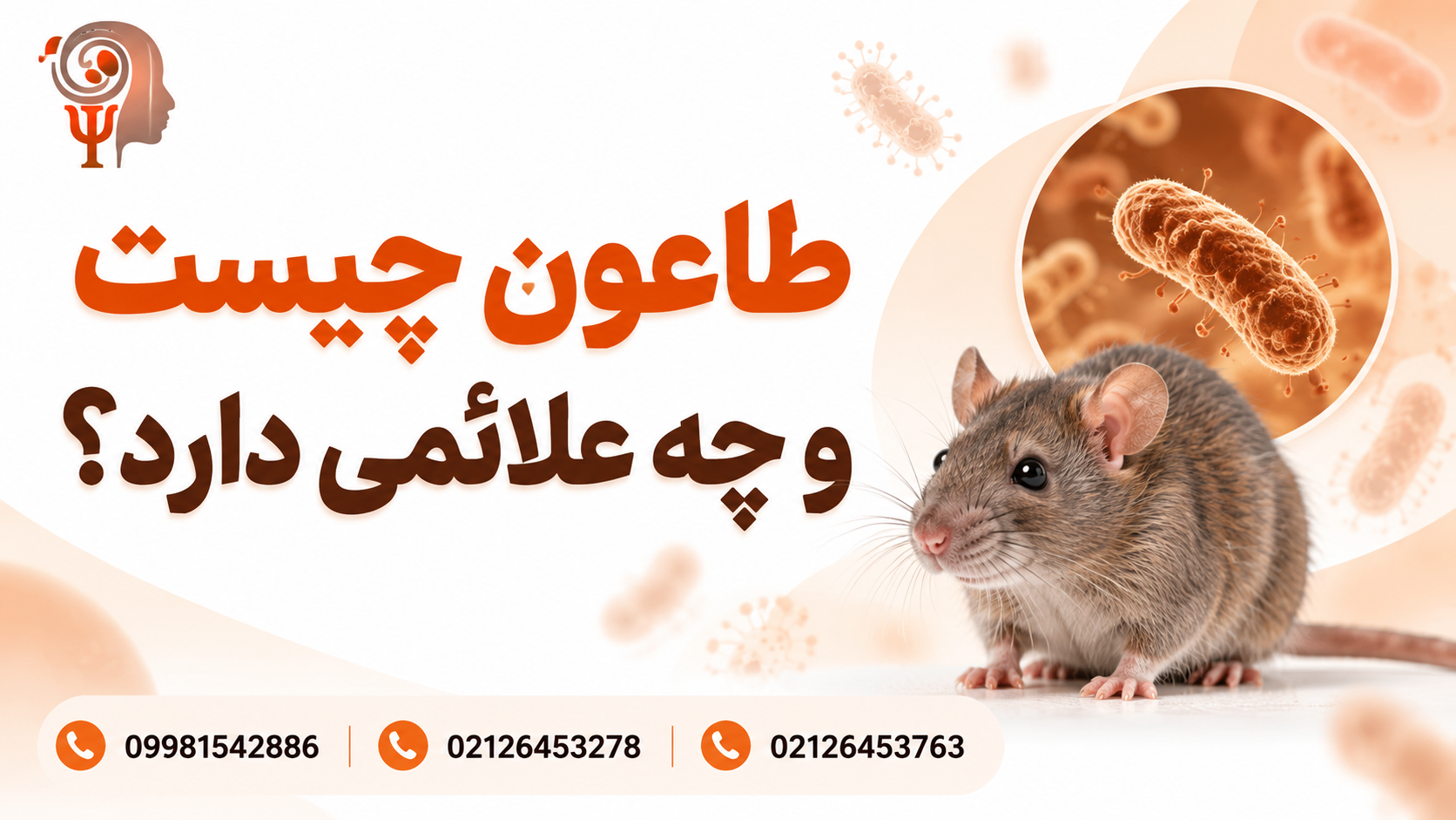 طاعون چیست و چه علائمی دارد؟